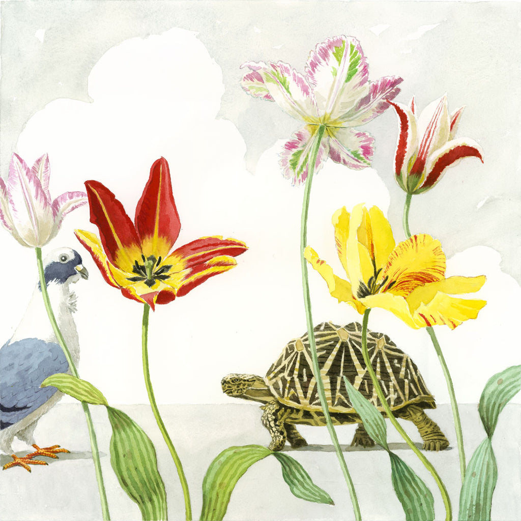 giclee print by Harrison Howard dove with turtle & tulips