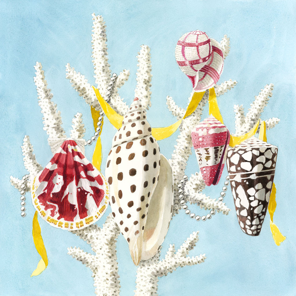 Shell With Ribbon Shells, Coral, Ribbon, & Pearls – Harrison Howard
