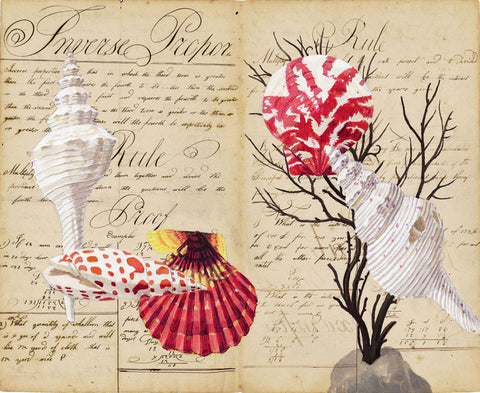 giclee print by Harrison Howard Shells, coral, scallops on old calligraphy