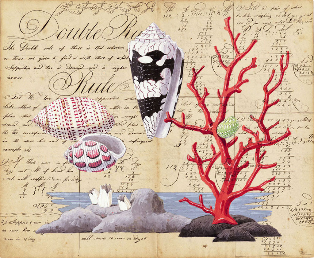 giclee print by Harrison Howard Shells, red coral, bubble shells, cone shelll on old calligraphy