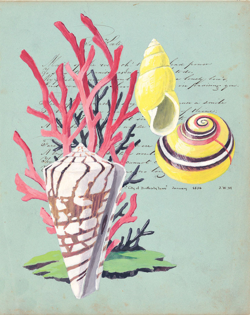 giclee print by Harrison Howard Shells, coral, yellow snails on calligraphy